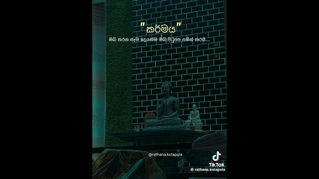 'කර්මය' - ඔබ කරන සැම දෙයක්ම ඔබ පිටුපස ගමන් කරයි... #buddha #quotes #nirvana #1k
