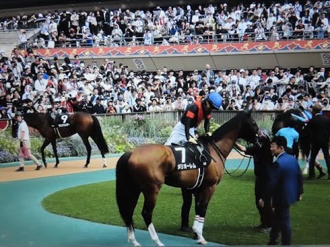 むらさき賞 現地 パドック メリオーレム ショウナンラピダス ニシノライコウ ニューステソーロ パワーホール 2025/6/1 東京競馬場 10R