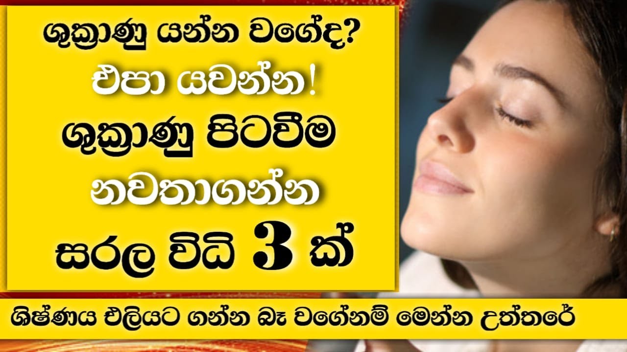 ශුක්‍රාණු පිටවෙන්න එද්දී නොයවා තව වෙලාවක් කරන්න විධි 3ක්‌ | 3 Tips to Stay Longer EP:47