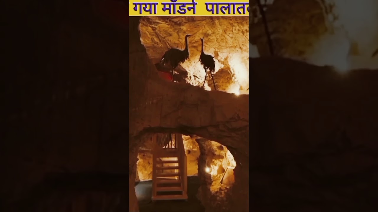 दुनिया के कुछ रोचक और हैरान करने वाले facts #shorts#shortsvideos #trending