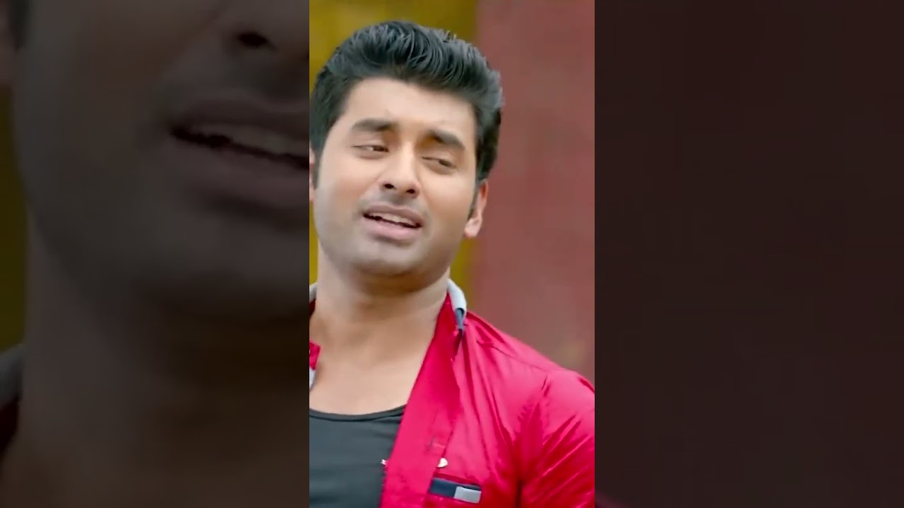 এভাবে ঘুড়ি ওড়ালে জীবনেও এই ঘুড়ি উড়বে না #kelorkirti #ankush #koushani #funny #svf