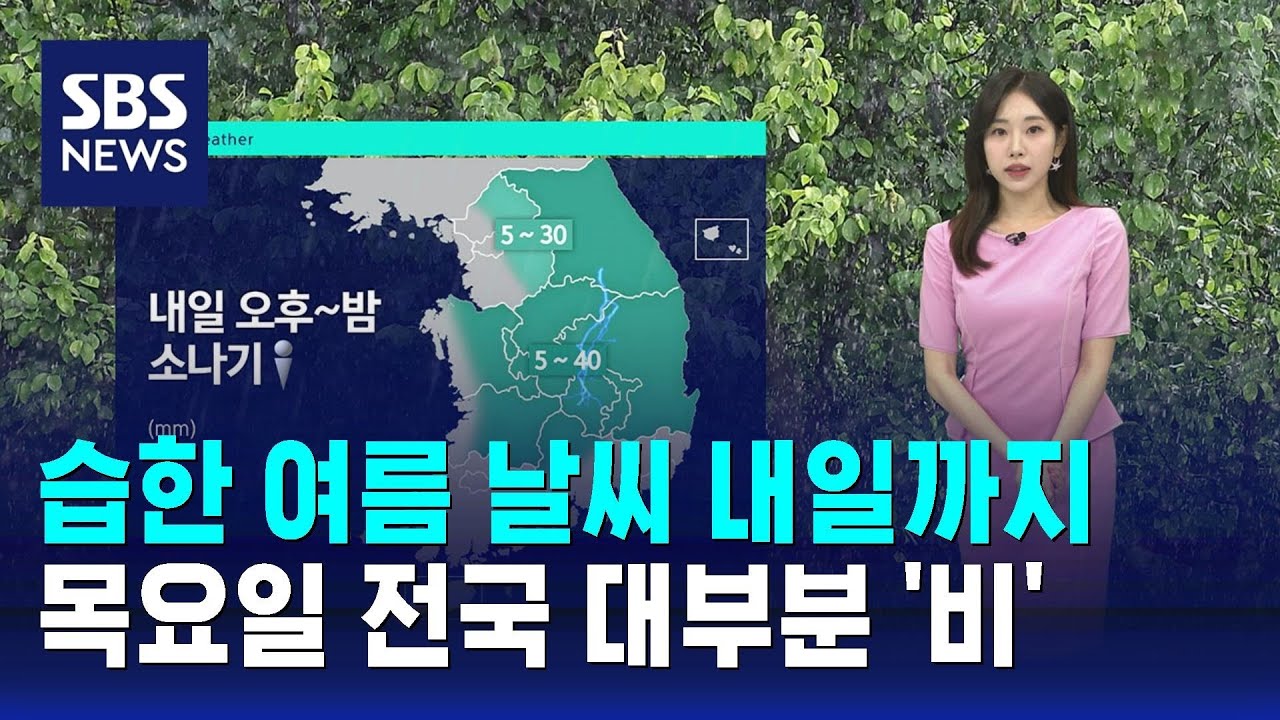 [날씨] 습도 높은 여름 날씨 내일까지…한때 소나기 / SBS
