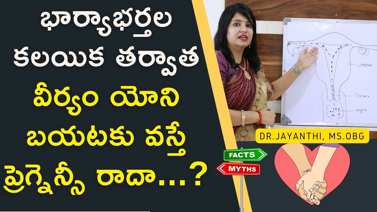 కలయిక తర్వాత వీర్యం బయటకు వస్తే గర్భం రాదా | Semen Coming Out of Vagina, Is It Cause Of Infertility?