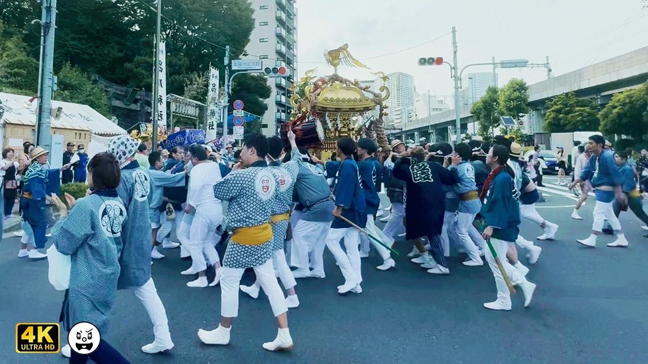 直前！神輿が急勾配の石段を昇る !!!【 品川神社例大祭 】 大人神輿連合渡御 ①  20240608