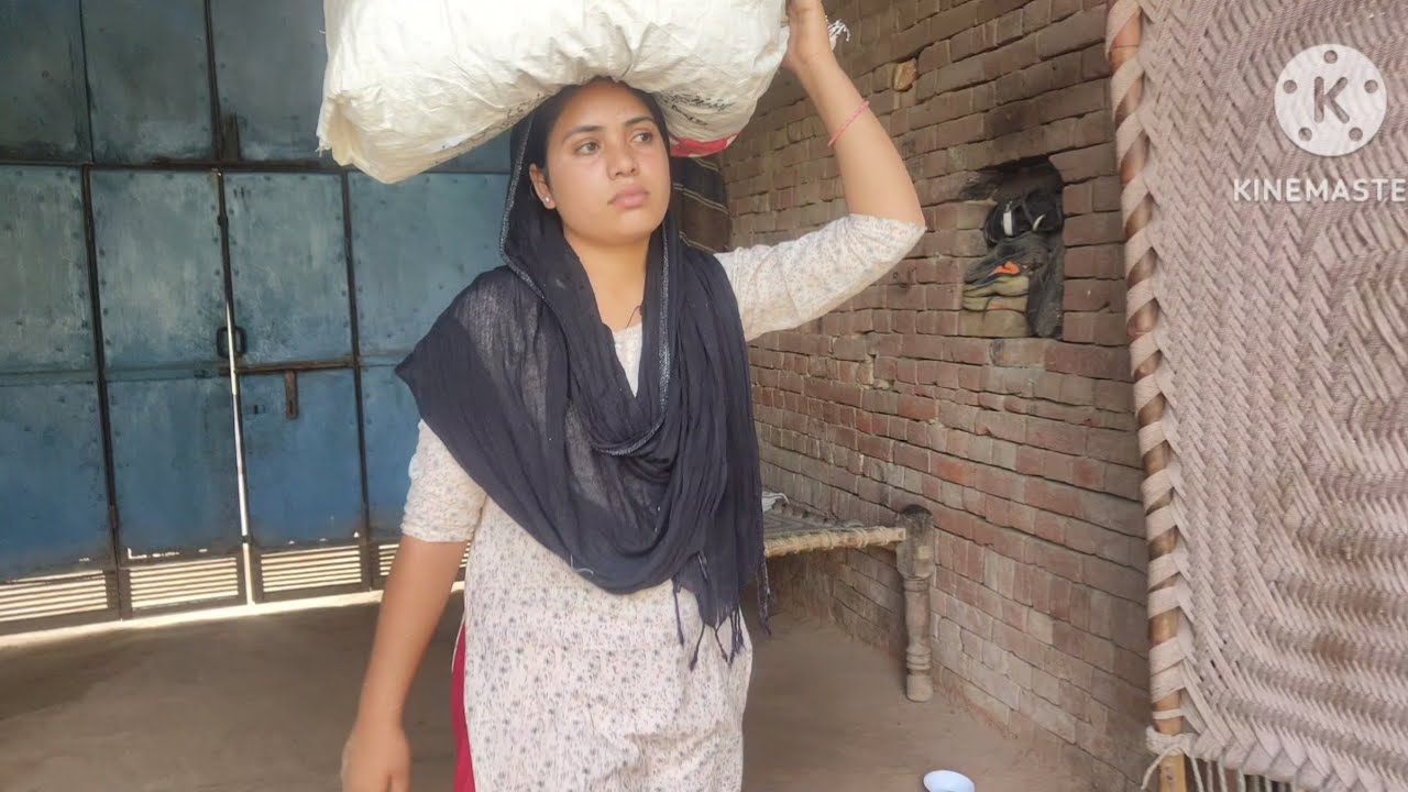 पता नहीं यह मुसीबत कब खत्म होगी #desivlog #sivanikumariofficial