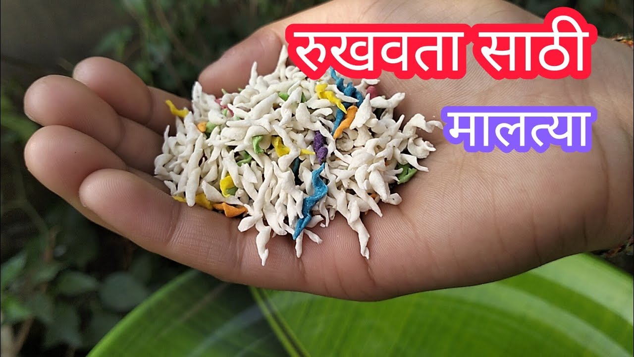 रुखवतासाठी मालत्या | मालत्या | गव्हले | gavhle | maltya
