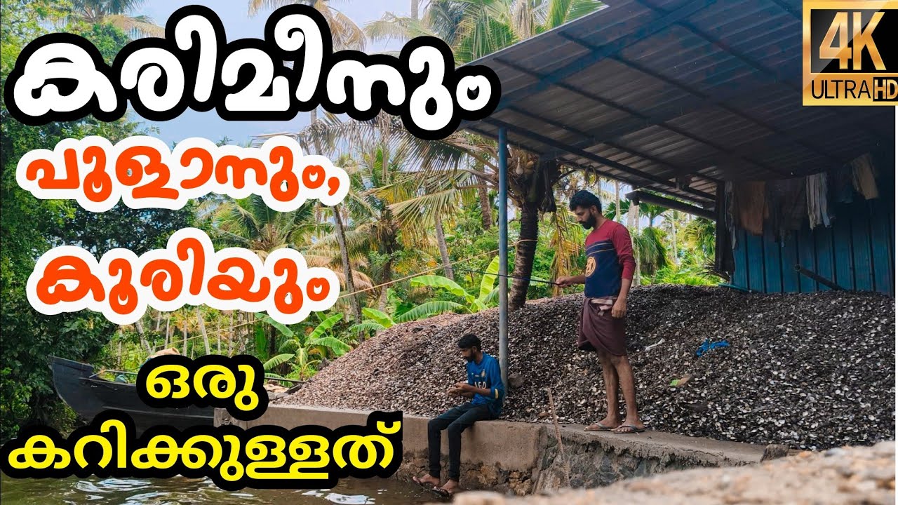ഈ മഴയത് ഒട്ടും പ്രതീക്ഷിച്ചില്ല മീൻ കിട്ടുമെന്ന് #karimeen #fishing