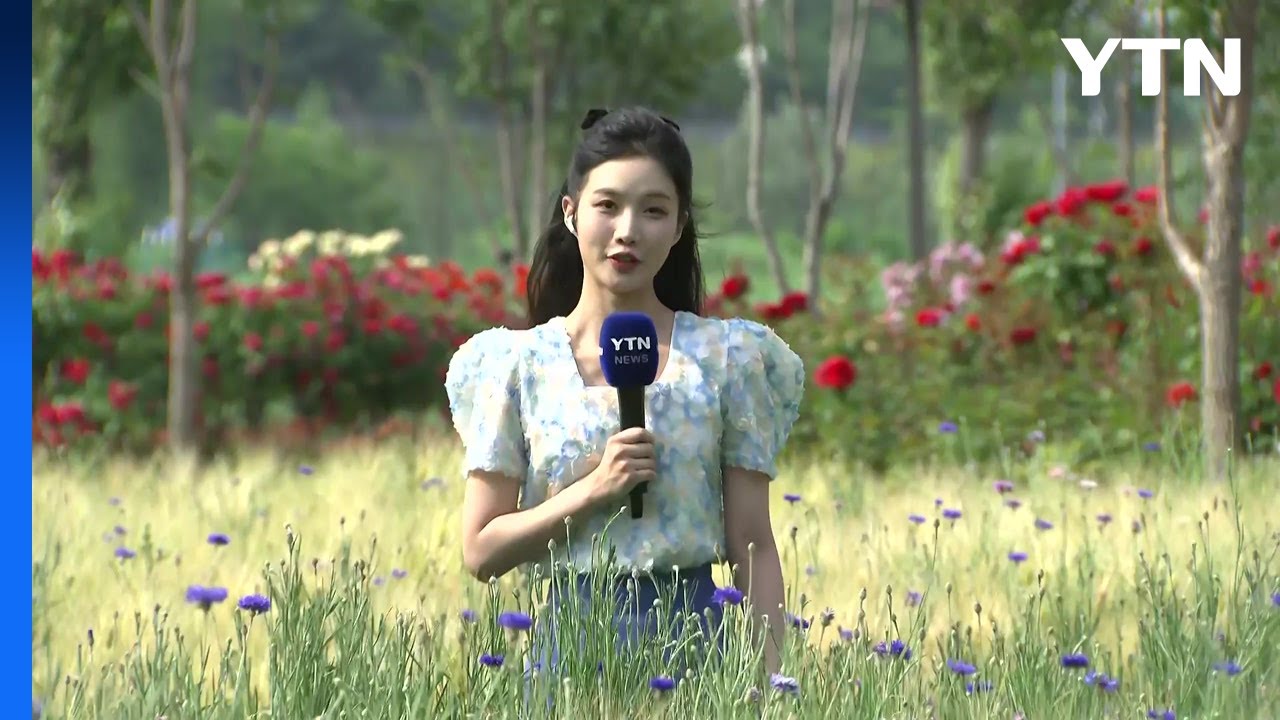 [날씨] 휴일, 서울 등 전국 30℃ 더위...초여름 보리밭 물결 / YTN