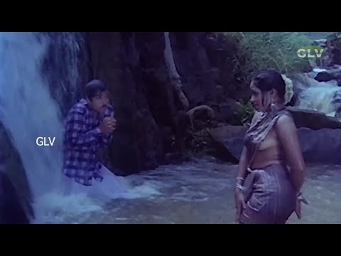ரெட்டை குழல் துப்பாக்கி பாடல்  Karthik  Suganthi   இனிமையான பாடல்கள் - Tamil HD Songs