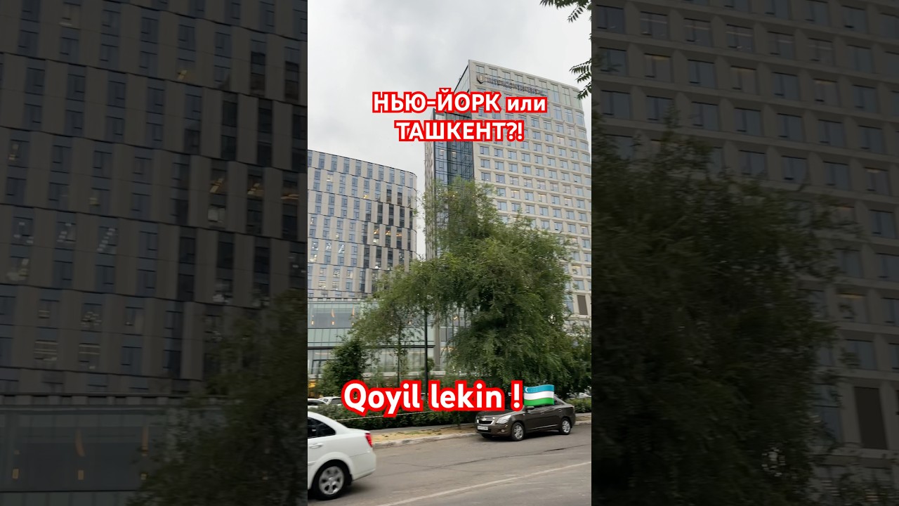 ТАШКЕНТ или НЬЮ ЙОРК #ташкент #uzbekistan #tashkent #2025 #узбекистан #travel #newyork
