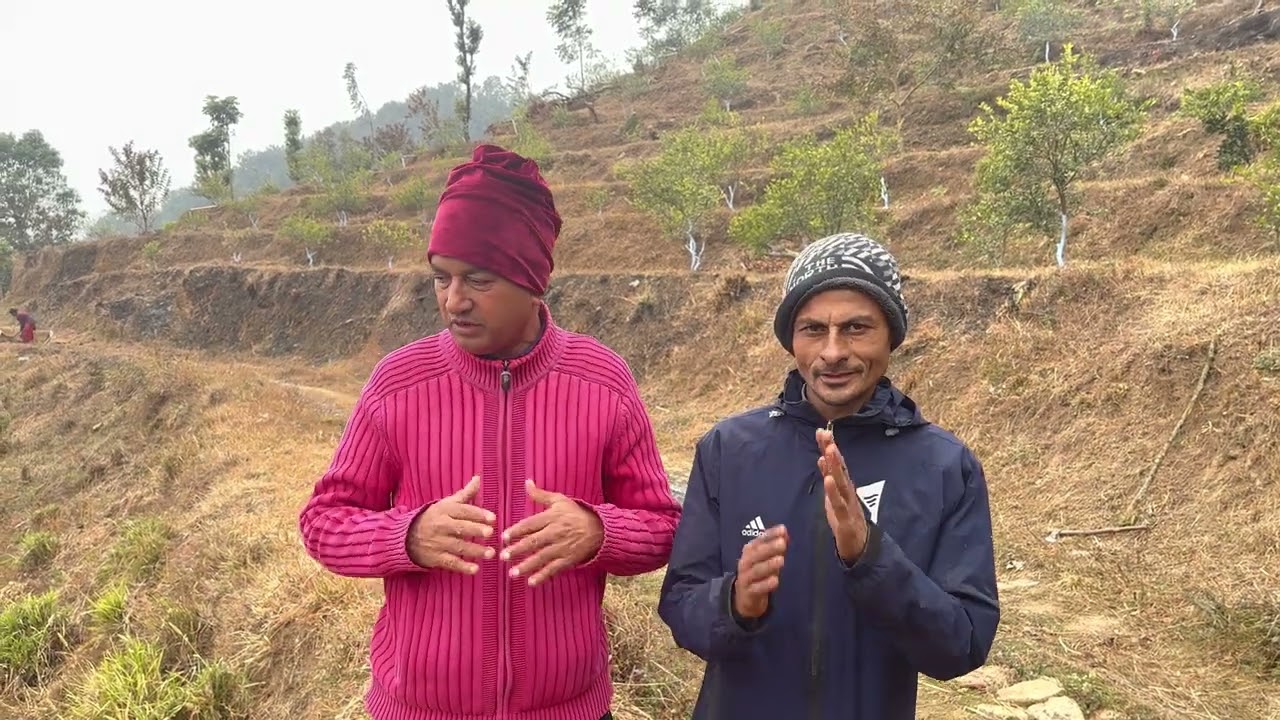 नेपाल मा कागती (सिट्रस\ citrus) खेती हिर्कुष एग्रो फार्म का केही गतिविधी । 9855060981