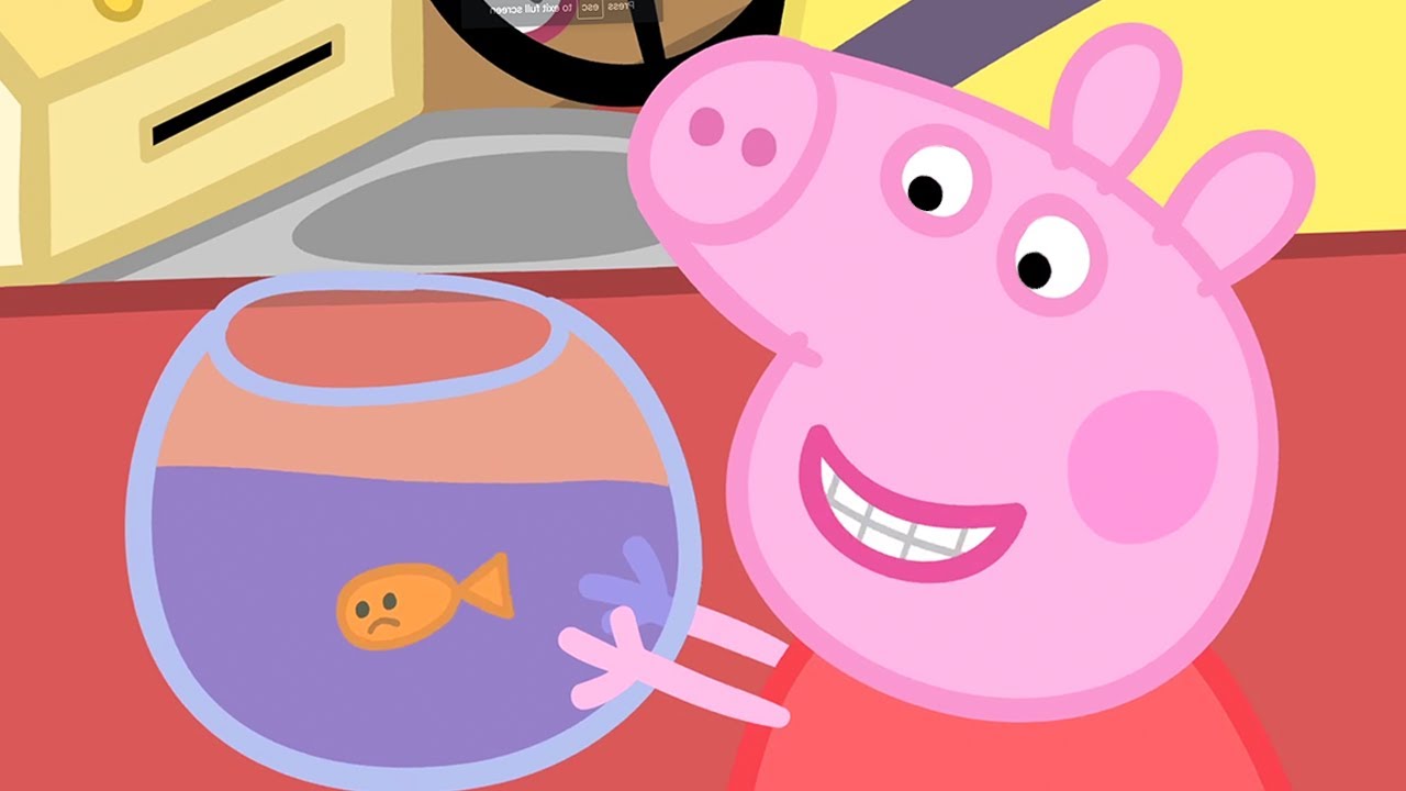 小猪佩奇 | 第三季 第23集 「 金鱼金金 」 粉红猪小妹 | 佩佩猪 |Peppa Pig Chinese |动画