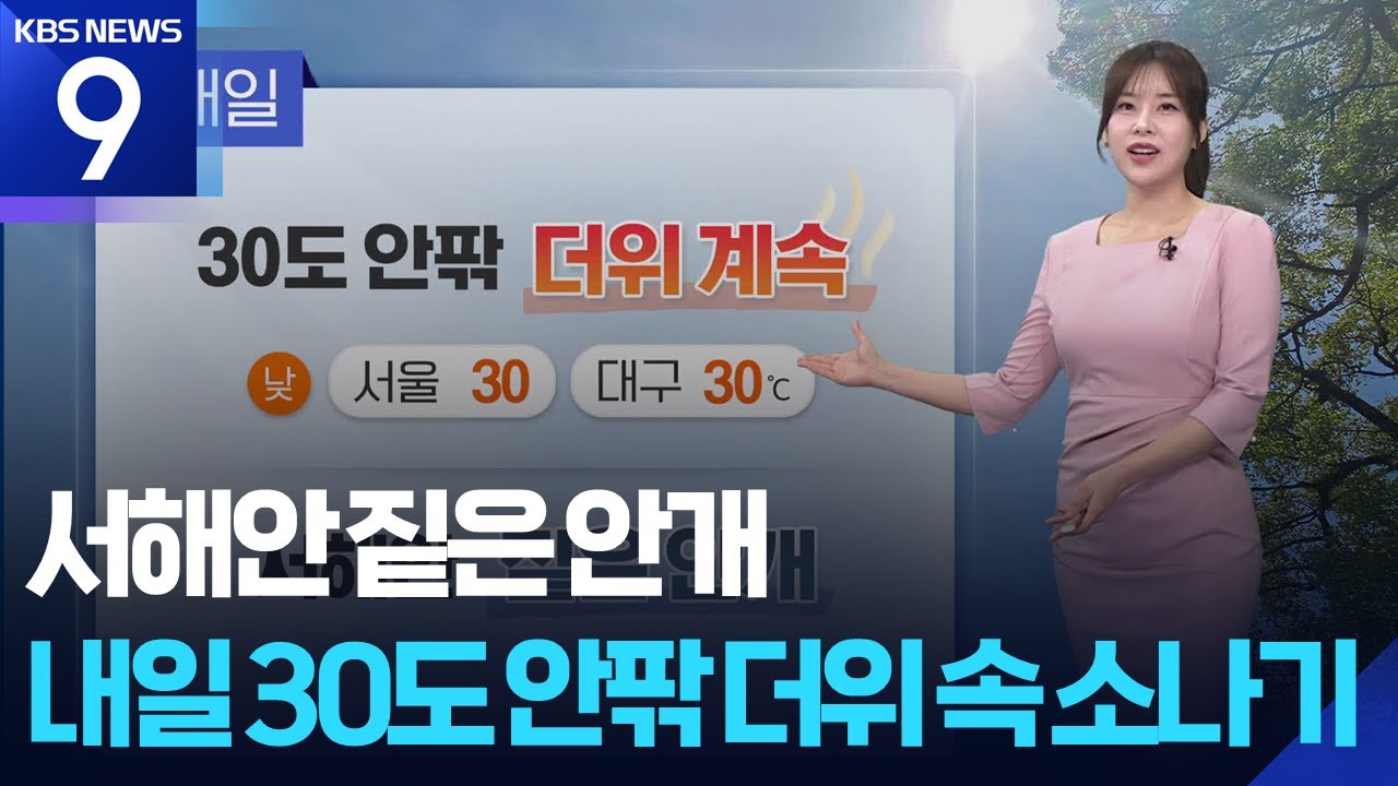 [날씨] 서해안 짙은 안개…내일(8일) 30도 안팎 더위 속 소나기 / KBS  2025.06.07.