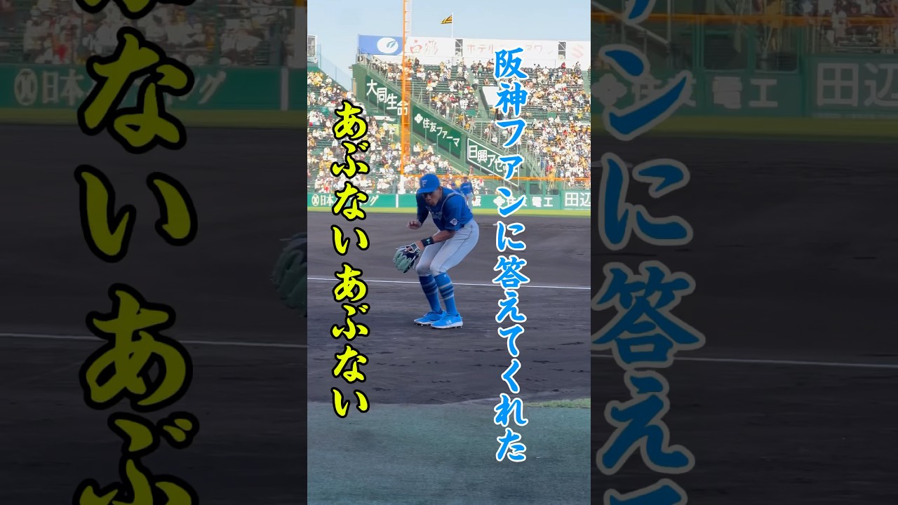 まんちゅーファンサービスありがとう　#万波中正 #日本ハムファイターズ #日ハム#阪神タイガース#交流戦#甲子園#新庄監督#岡田監督#プロ野球 #npb