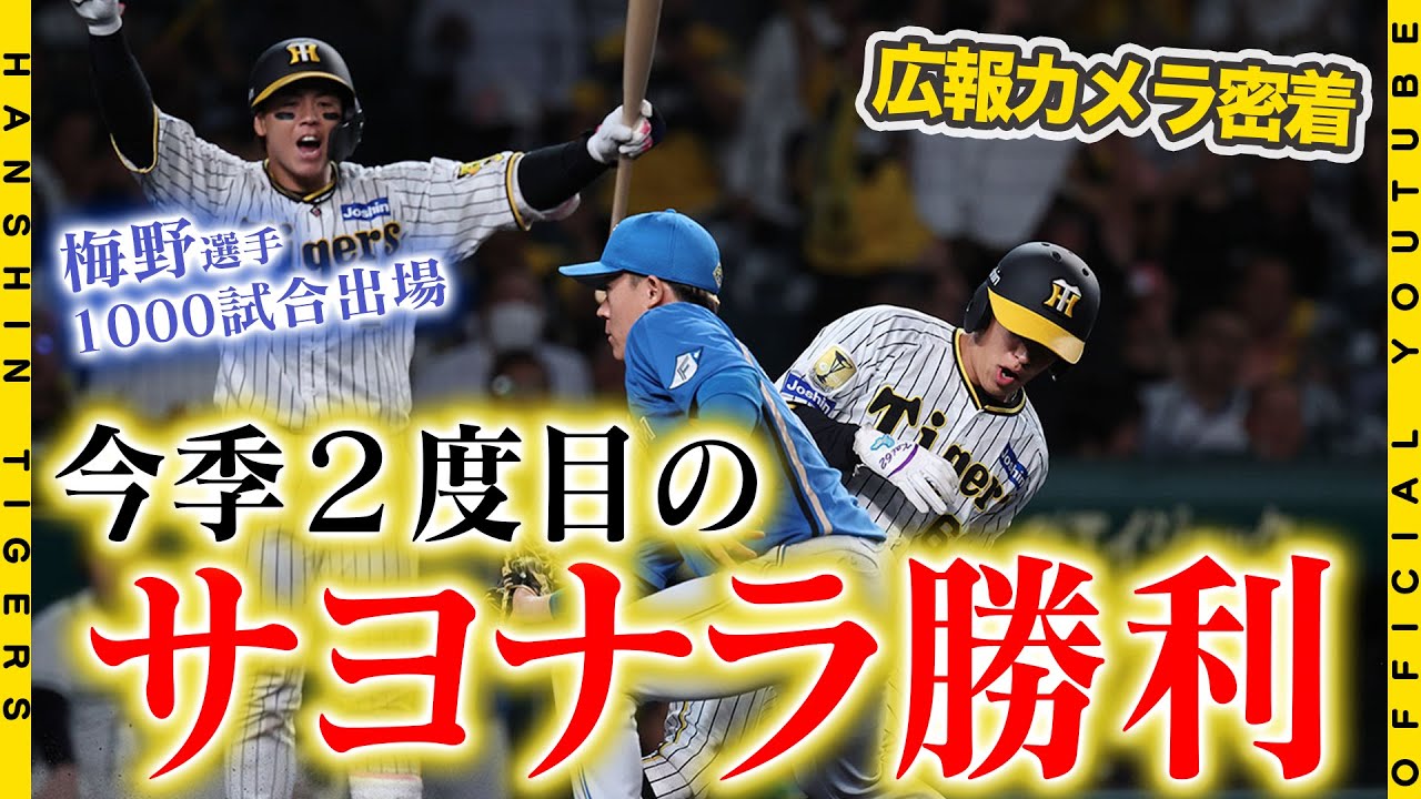 【広報密着】#豊田寛 選手サヨナラ呼ぶ甲子園初ヒット！！「興奮して覚えてない」#梅野隆太郎 選手は1000試合出場達成！