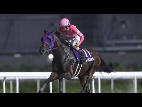 名港盃 　 ダ2000m (右) 　ナムラマホーホ　牡6　57.0　岡部誠　　2023.7.17　　出走馬：アンタンスルフレ、ブリーザフレスカ 、リョウガ、リアルグローリー、クインザヒーロー他