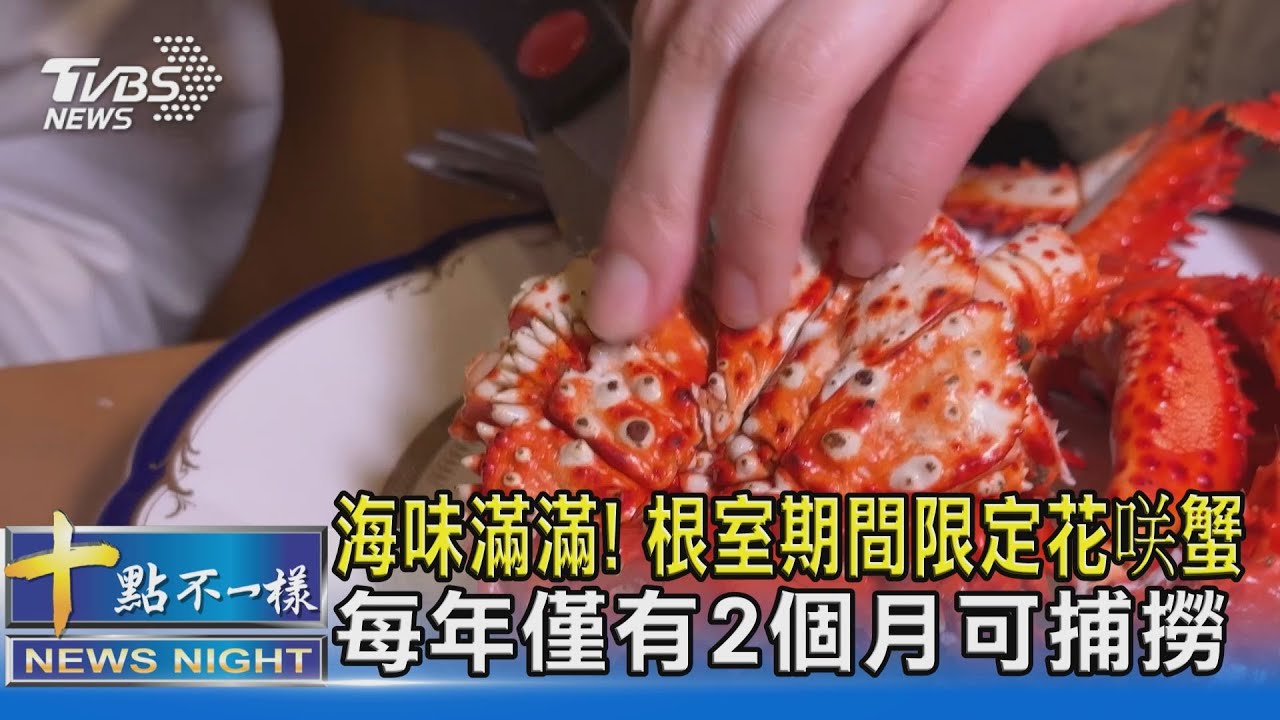 海味滿滿! 根室期間限定花咲蟹 每年僅有2個月可捕撈｜十點不一樣20231001@TVBSNEWS02