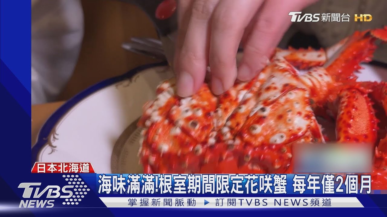 海味滿滿! 根室期間限定花咲蟹 每年僅有2個月可捕撈｜TVBS新聞 @TVBSNEWS01