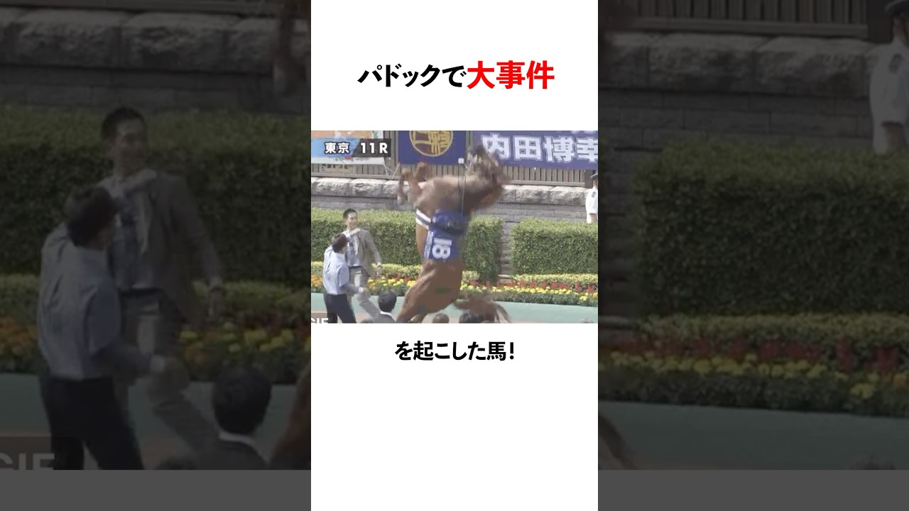 競馬のパドックにて大事件を起こした馬たち