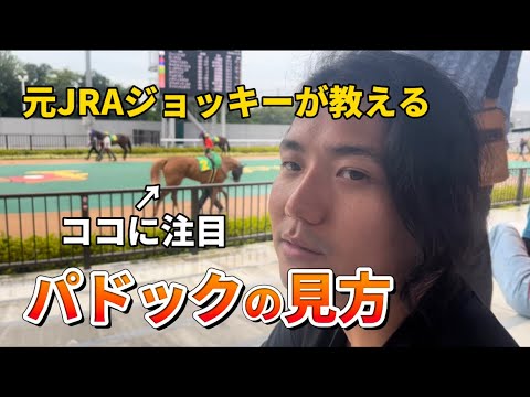 【パドックの見方】パドックと返し馬の見方を誰よりも詳しく教えます。【有料級】【必見】