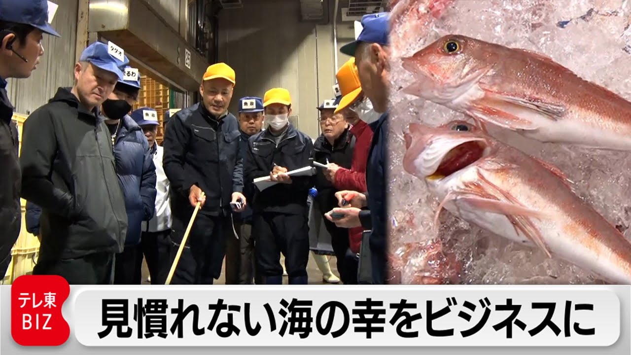 “売れない魚”を宝に変える！温暖化を商機に変えるフーディソンの戦略【ガイアの夜明け】