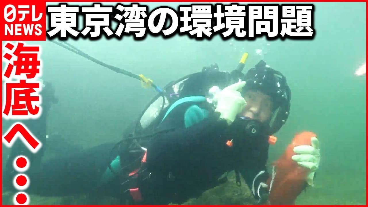 【東京湾で“ゴミ拾い”】桝太一が海底で見つけた意外なモノ『ベタバリ』