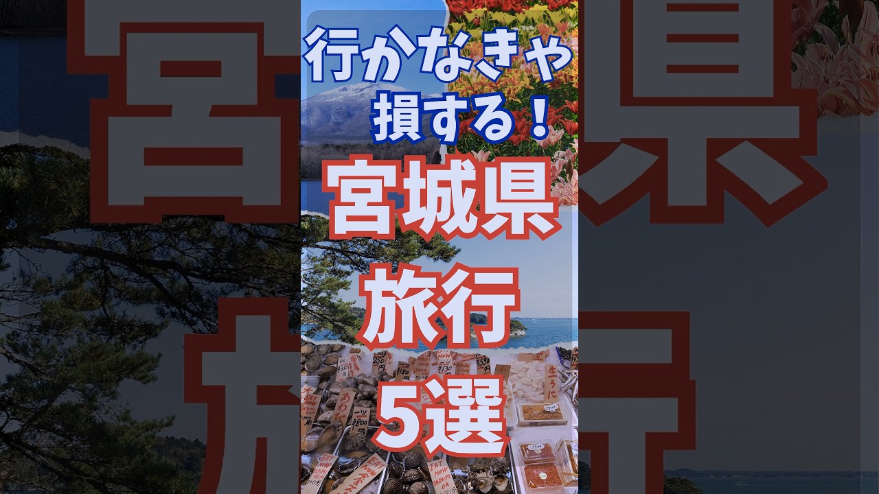 宮城 旅行 5選 宮城県 観光 5選 #shorts #short