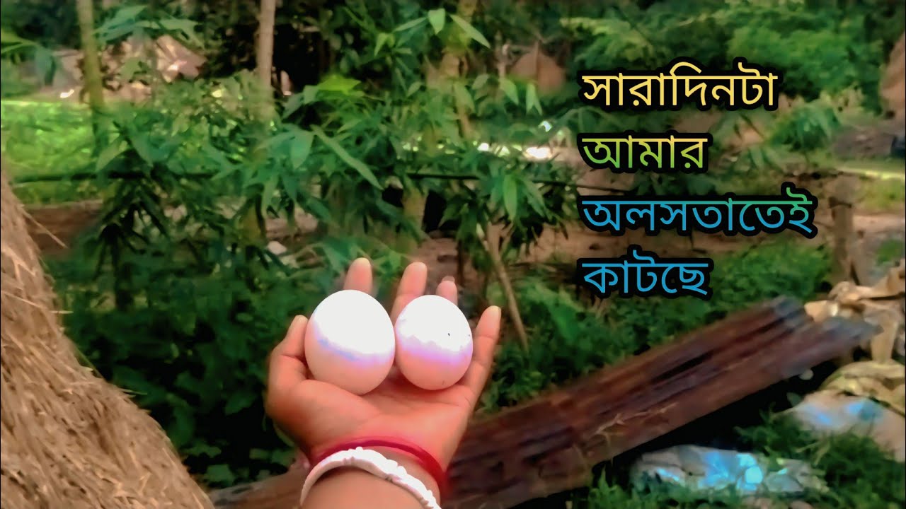 সংসারের কাজে আমি কখনো অলসতাকে প্রাধান্য দেই না সময়কে ভাগ করে কাজে লাগালে কাজ এমনি গুছিয়ে করা যায়।