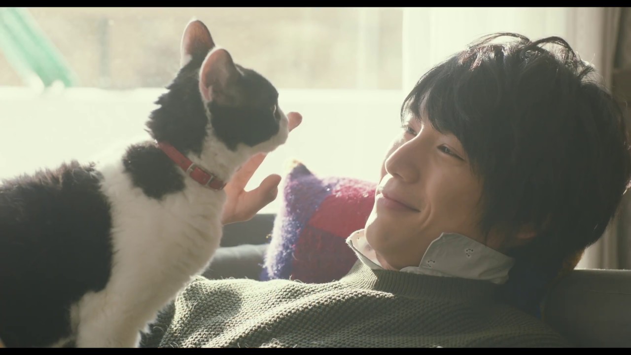 福士蒼汰×猫！映画『旅猫リポート』予告編