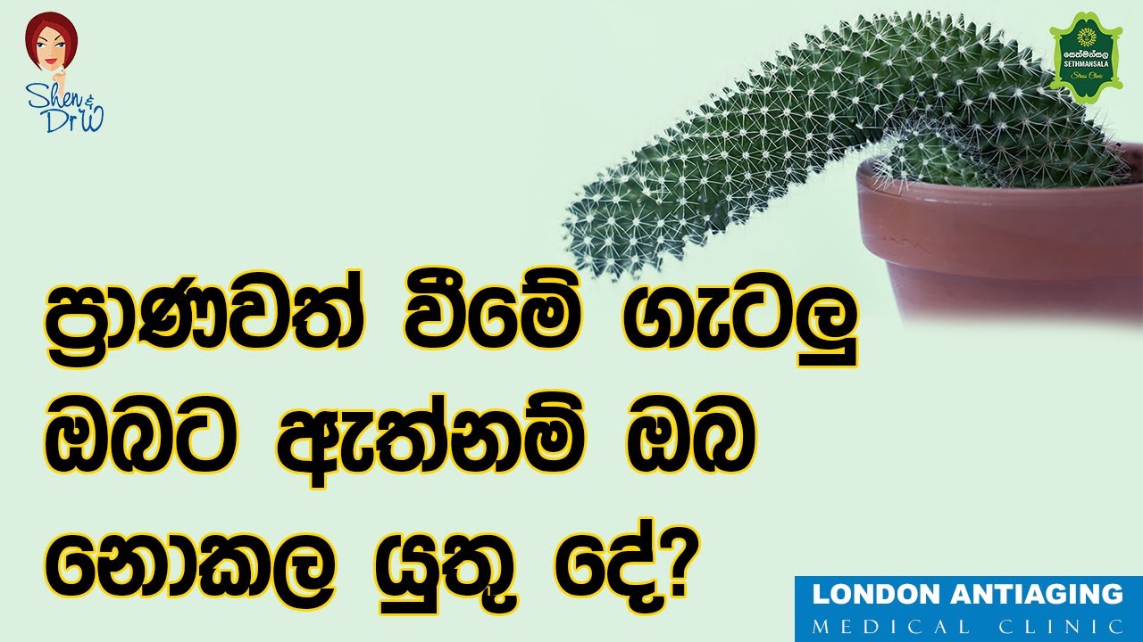 ප්‍රාණවත් වීමේ ගැටලු ඔබට ඇත්නම් ඔබ නොකල යුතු දේ?