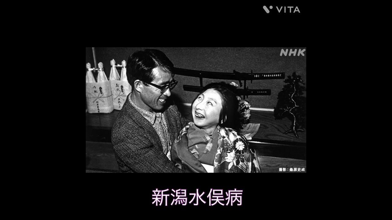 【４大公害病】水俣病　四日市ぜんそく　新潟水俣病　イタイイタイ病