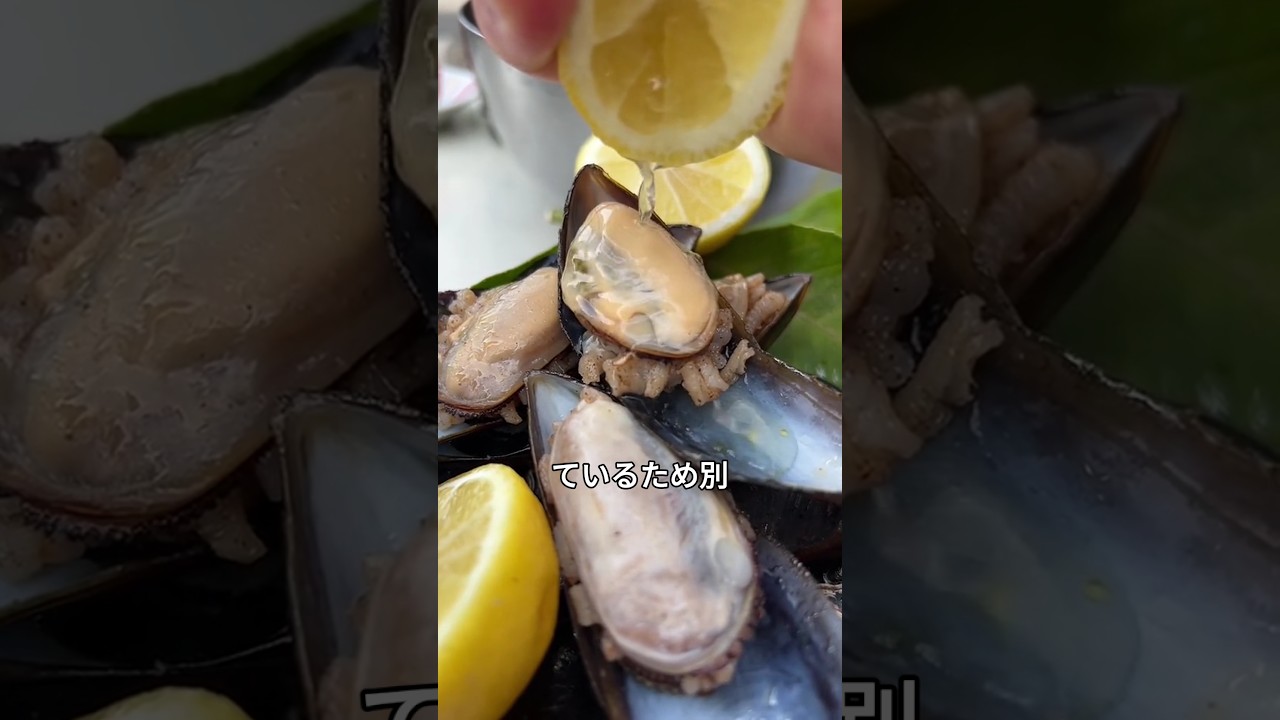 トルコの寿司「ミディエ・ドルマ」