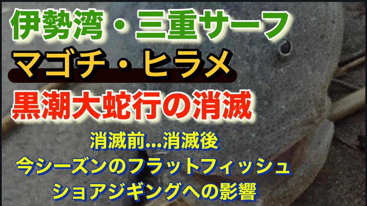 黒潮大蛇行消滅 伊勢湾三重サーフ マゴチ・ヒラメのショアジギングに与える黒潮大蛇行消滅の影響は？