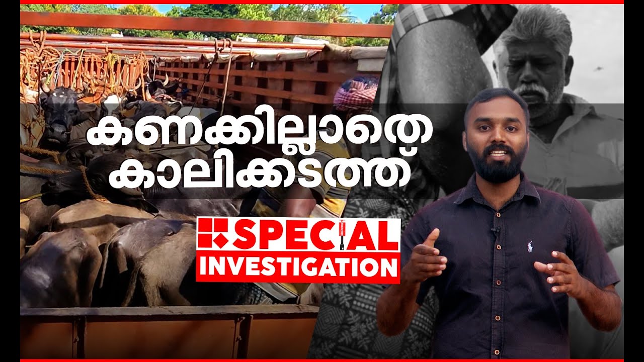 ചട്ടങ്ങൾ പാലിക്കാതെ കേരളത്തിലേക്ക് കാലിക്കടത്ത്