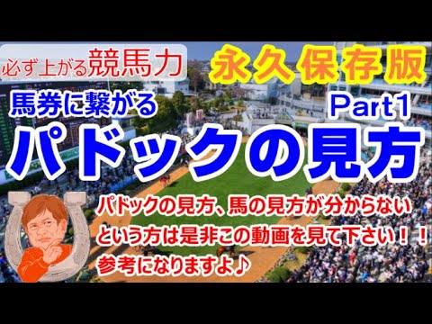 【競馬】パドックの見方 馬の見方 あなたの常識は合ってますか？【馬券生活者の考え方】