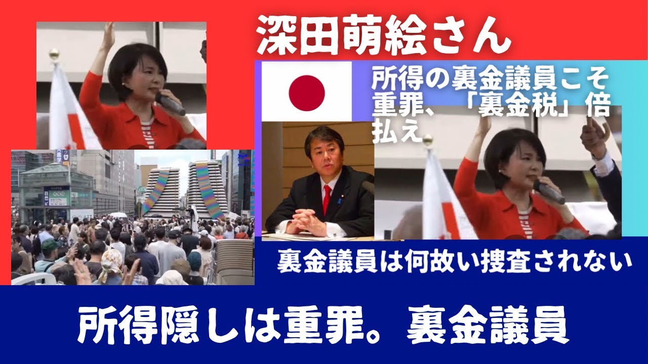 所得隠しをした裏金議員が何故、捜査されないのか？裏金税を作り所得隠しの倍の金を払わせよう。 深田萌絵さん八王子演説。