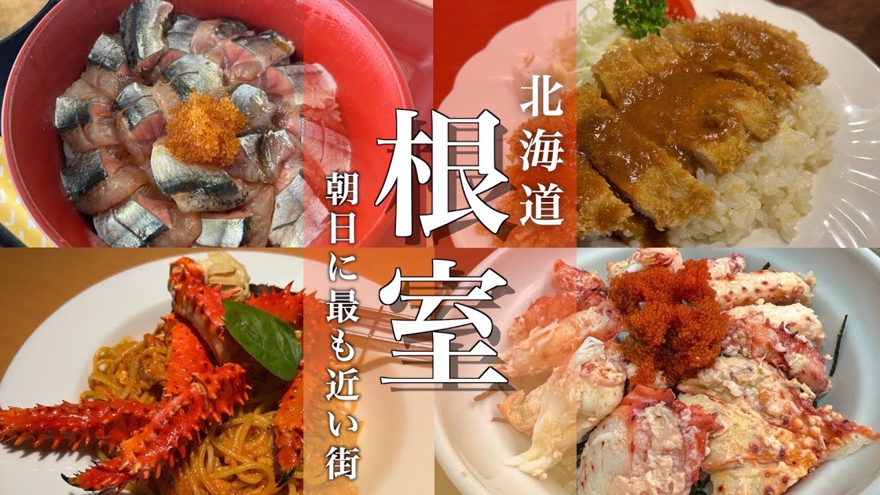 【北海道旅行】根室観光で学ぶ北方領土問題と根室グルメの生さんま丼、花咲蟹丼を満喫！