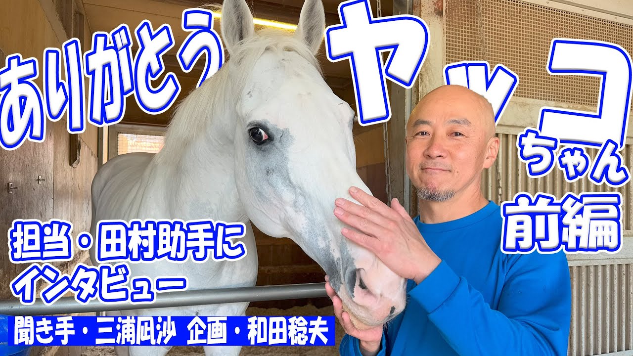 【ありがとうヤッコちゃん・前編】白毛のアイドルホース・ハヤヤッコを担当する田村助手にインタビュー