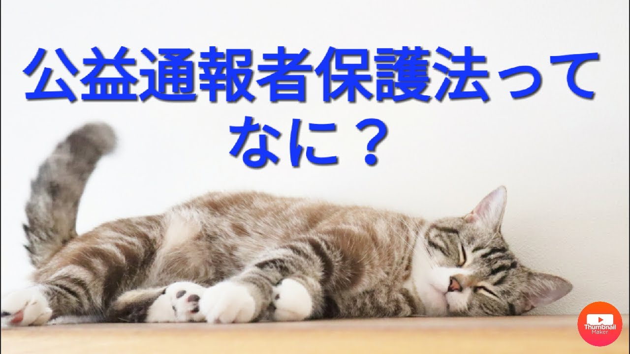 公益通報者保護法って、なに？　／内部告発者・公益通報者を保護することによって、企業の違法行為に関する通報を促し、消費者や社会の利益を守ることを目的とした法律です。