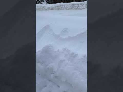 製作雪天使