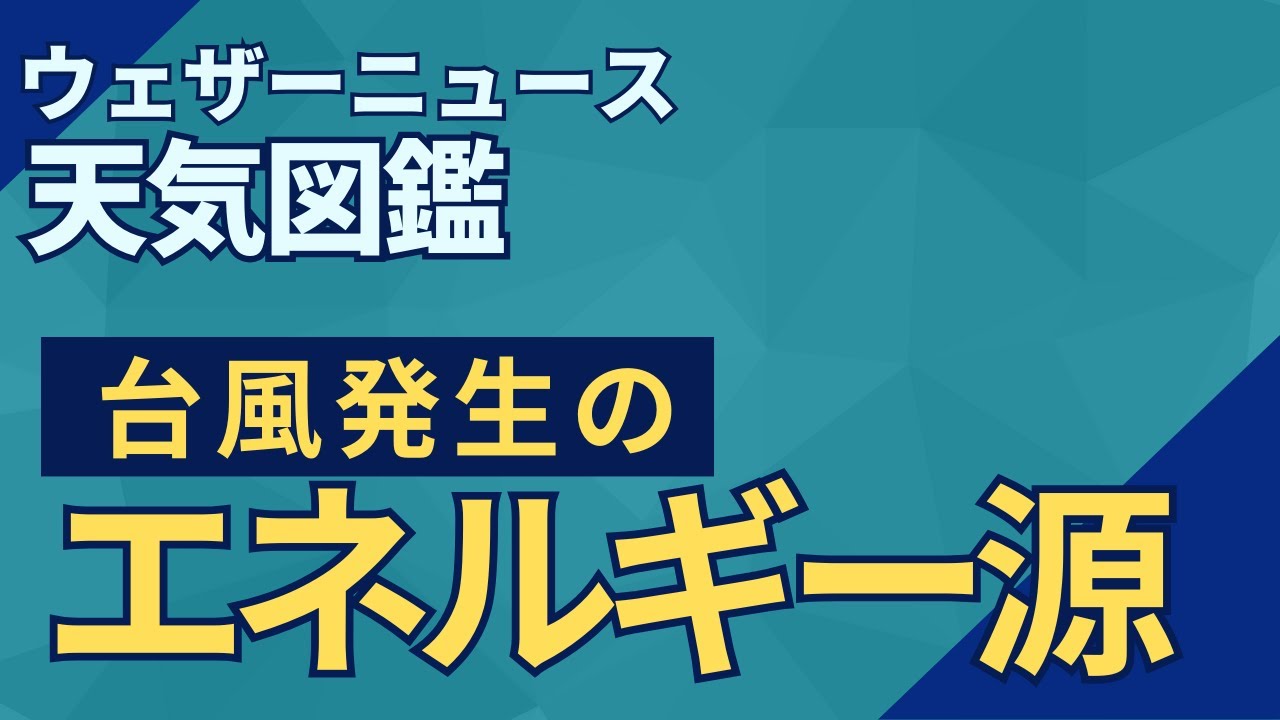 【台風】台風発達のエネルギー源　#ウェザーニュース天気図鑑 #台風