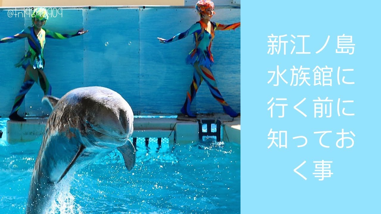 新江ノ島水族館に行く前に知っておく事