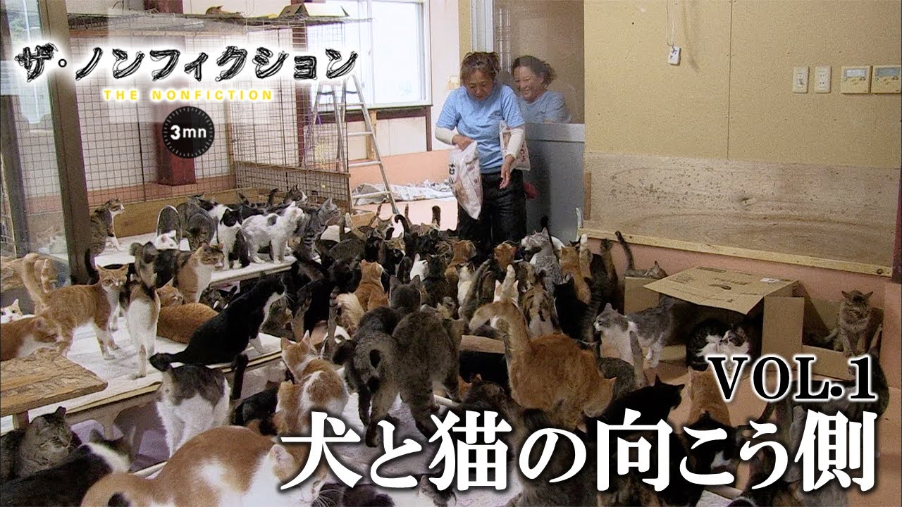 公式【ザ・ノンフィクション３ｍｎ】犬や猫の殺処分ゼロ社会を目指して闘う女性…ＶＯＬ①