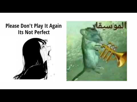 الموسيقار
