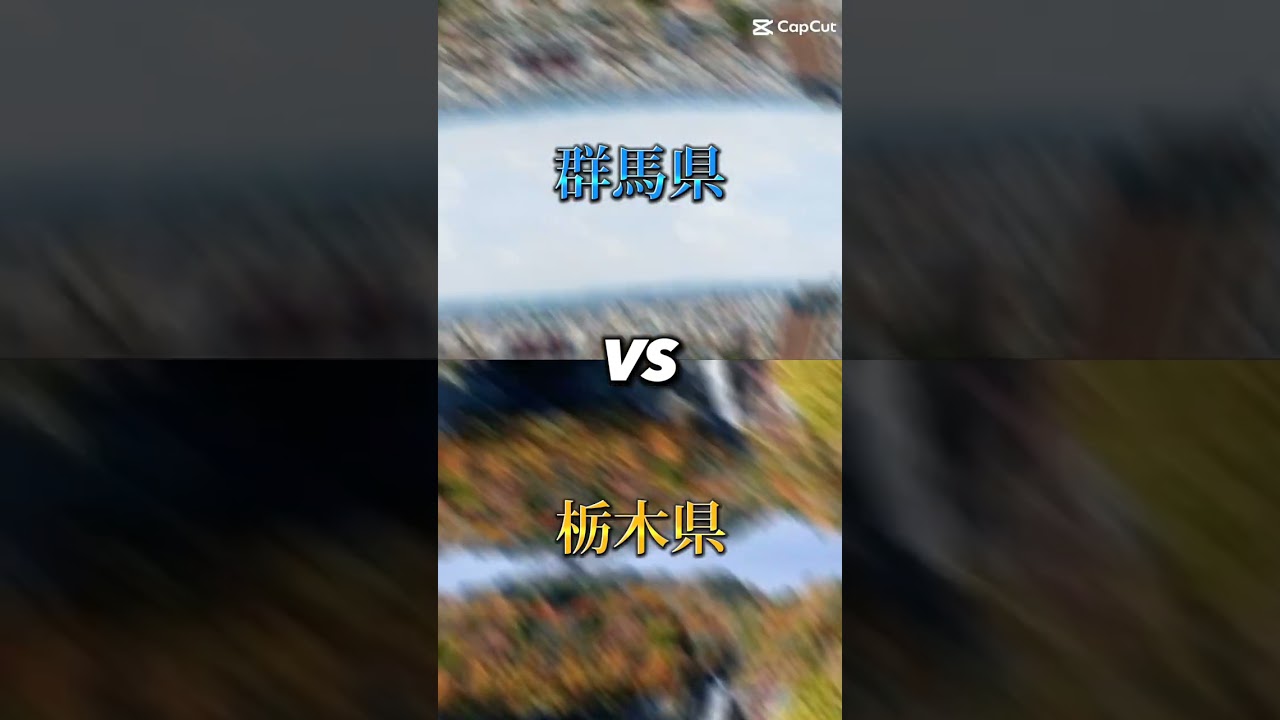 栃木県ＶＳ群馬県       対決‼️        都道府県バトル     リクエストはコメント欄に！