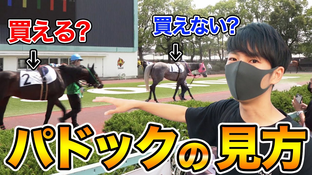 【解説】元馬乗りがパドックの見方を教えます。