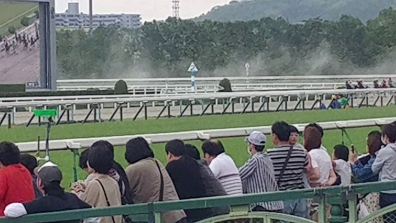 小林徹弥騎手引退レーステイエムオスカー最終レース最後の直線