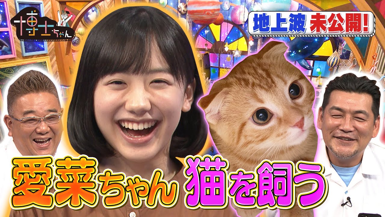 【芦田愛菜 猫を飼う】博士ちゃん 未公開トーク!