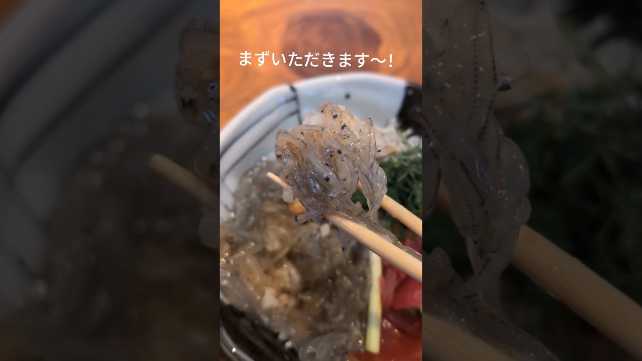 鎌倉の人気しらす店での３種盛りしらす丼をいただきます〜！#鎌倉#しらす丼#しらすや#일본여행