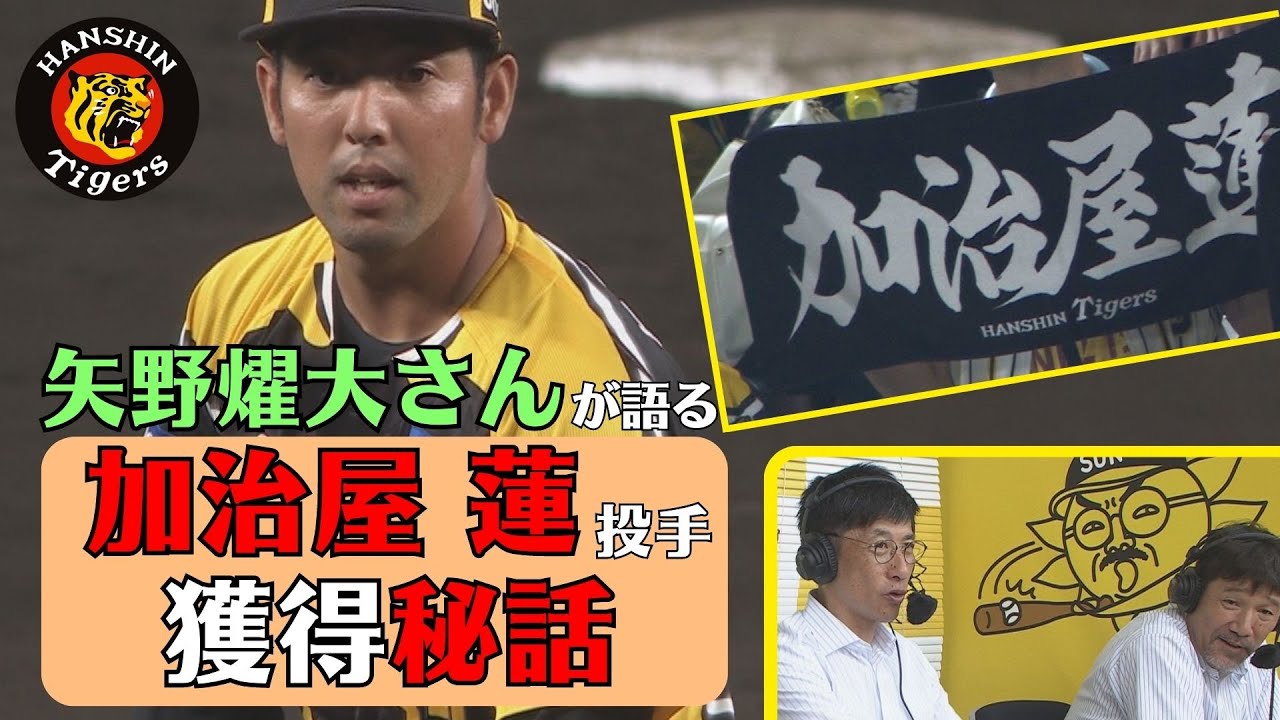 「獲ってくれとフロントにお願いした」矢野燿大さんが語る、加治屋投手獲得秘話 #サンテレビボックス席